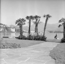 Walter Vonwiller ca. 1960