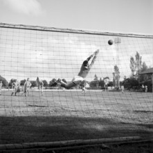 Swiss University Championships 1939 in Berne