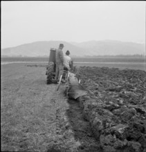 WW 2: crop growing, cereal cultivation, Thunerallmend 1943.