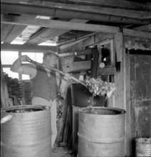 WW 2: economy of war; household waste collection.