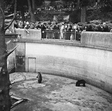 Landi 1939: Lord Mayor of London visiting the Bärengraben in Bern.