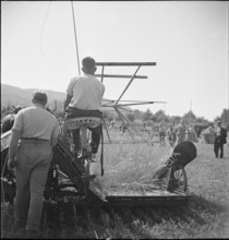 WW 2: grain crop, harvest, Strickhof 1940.