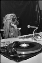 Schindellegi 1970: dog as a discjockey, DJ.