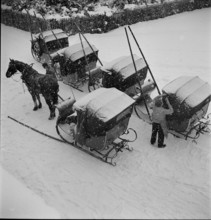 Davos: snow-covered horse-drawn sleighs; 1949.