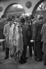 Fur market in Lucerne 1971.