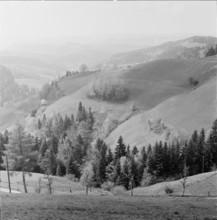 Lüdern in the Emmental; 1966.