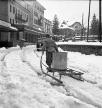 Grindelwald, man pulling sledge; 1950.