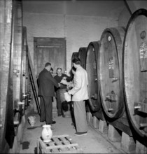 Mise des vins de la ville de Lausanne, wine auction: degustation, 1954.