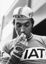 Eddy Merckx, 1977.