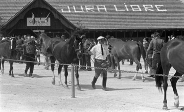 69th Marché-Concours Saignelégier, 1972.