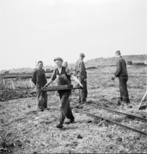 Peat Diggers near Boswil, 1945.