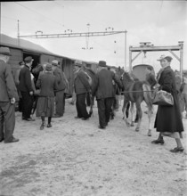 Horse market of Chaindon-Reconvilier, railway station, 1941.