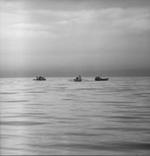 Catching whitefish in the Lake Constance, 1957.