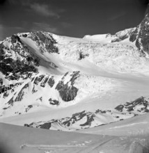 Tête blanche, 1949.