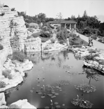 Lausanne, Botanical Garden: 1946.