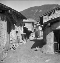 Free-range hen in Leuk-Stadt 1941.
