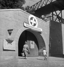 Gathering natural produce for Swiss donation, 1945.