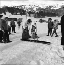 Lenzerheide, preparation for search for avalanche victims; 1961.
