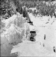 Avalanche in the Safien valley: clearance work, 1956.