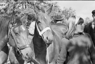 63th Marché-Concours Saignelégier, woman and horse, 1966.