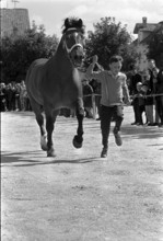 63th Marché-Concours Saignelégier, 1966.