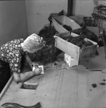 WW 2: economy of war; collection of human hair, hairs.