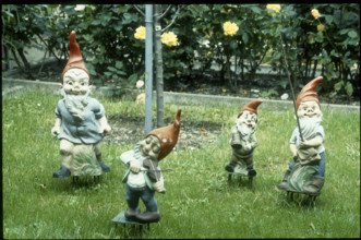 Allotment with garden gnomes 1980.
