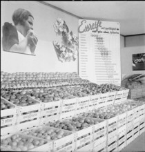 Information board on apple sorts; 1940.