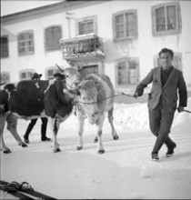 La Brévine; 1951.