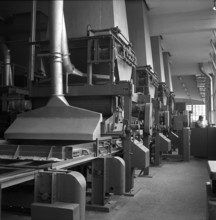 Production of Novopan boards, 1959.