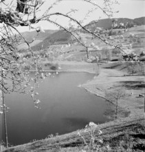 Countryside near the village Finstersee, 1946.