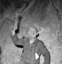 Thigh bone of a cave bear, 1953.