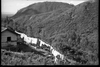 House on the road from Sao Paulo to Santos, Brazil 1950.
