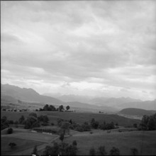 Rheintal near Altstätten, 1954.