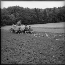 Experiment with planting machine, Kemptthal 1958.