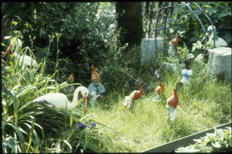 Allotment with garden gnomes 1980.