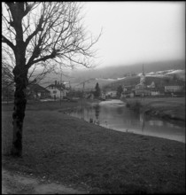 Travers; 1950.