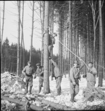 Land reclamation, extend area of cultivable land; ; clearing; 1942.