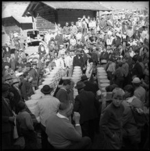 Distribution of cheese in the Justistal Valley, 1964.