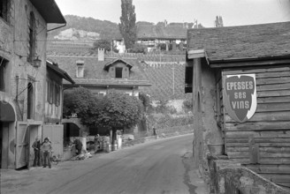 Epesses; 1971.