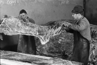 Last Tannery in Romandie, men working on hides, 1973.