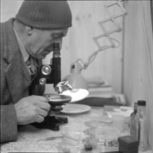 Ernst Glanzmann analysing rock sample; 1954.