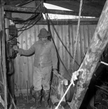 Ernst Glanzmann searching for minerals; 1954.