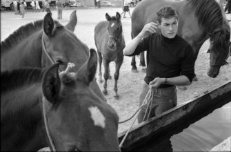 62nd Marché-Concours Saignelégier, horses drinking, 1965.