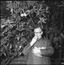 Earl Bernadotte Plucks Oranges, 1964.
