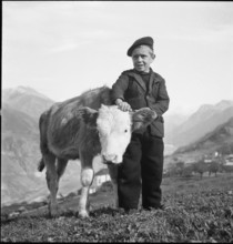 Boy with Cow, Eischoll, 1945.