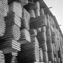 Timber yard, 1959.