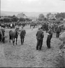 Horse market of Chaindon-Reconvilier, 1941.