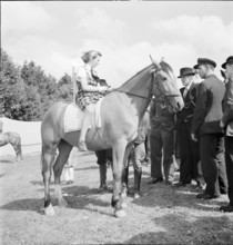 38th Marché-Concours Saignelégier, 1941.