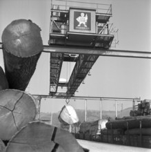 Loading of tree trunks on goods train, 1959.